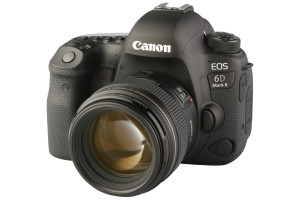 Canon EOS 6D II met EF 85mm