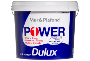 Dulux Power 1