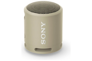 Sony SRS-XB13 grijs
