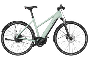 Riese & Müller Roadster Mixte vario 625Wh