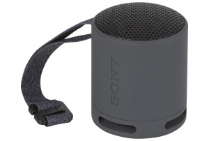 Sony SRS-XB100 zwart
