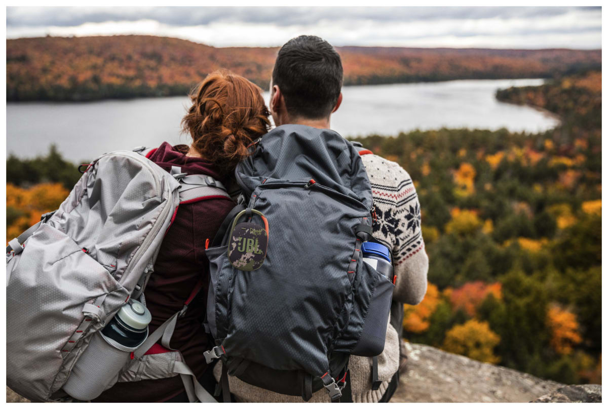 v1660296284/productvergelijker/DLSPEAKERS/13027116_kk_6-5