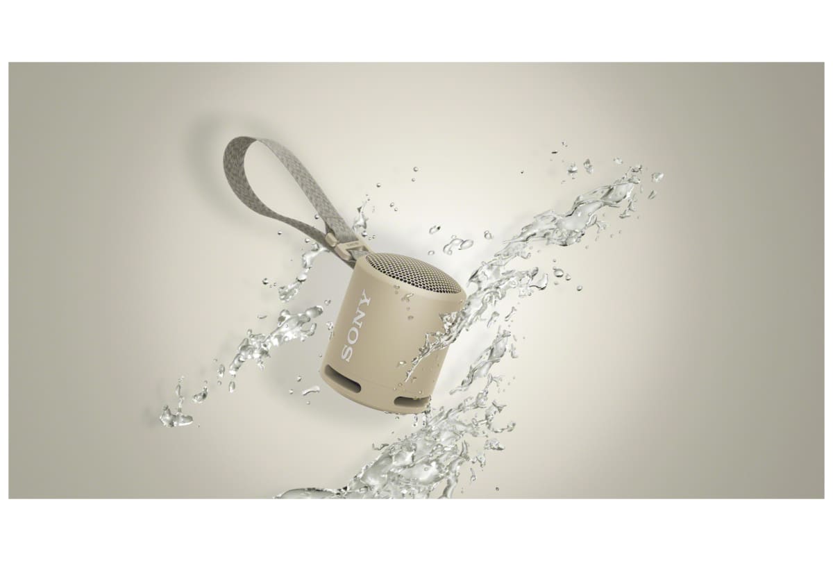 v1660296307/productvergelijker/DLSPEAKERS/13431411_kk_4-3