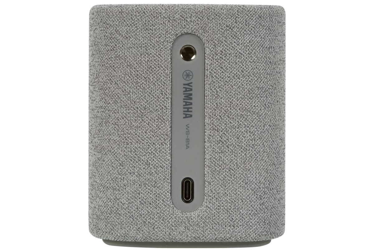 v1682929597/productvergelijker/DLSPEAKERS/iC21775-0201-00_07-2