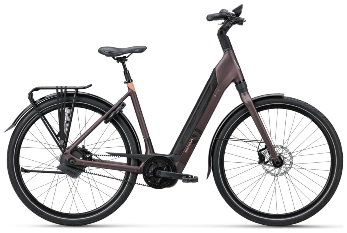 v1685538099/productvergelijker/ELFIETS/20230858A%2B0%2Bpaars%2Bzij-0