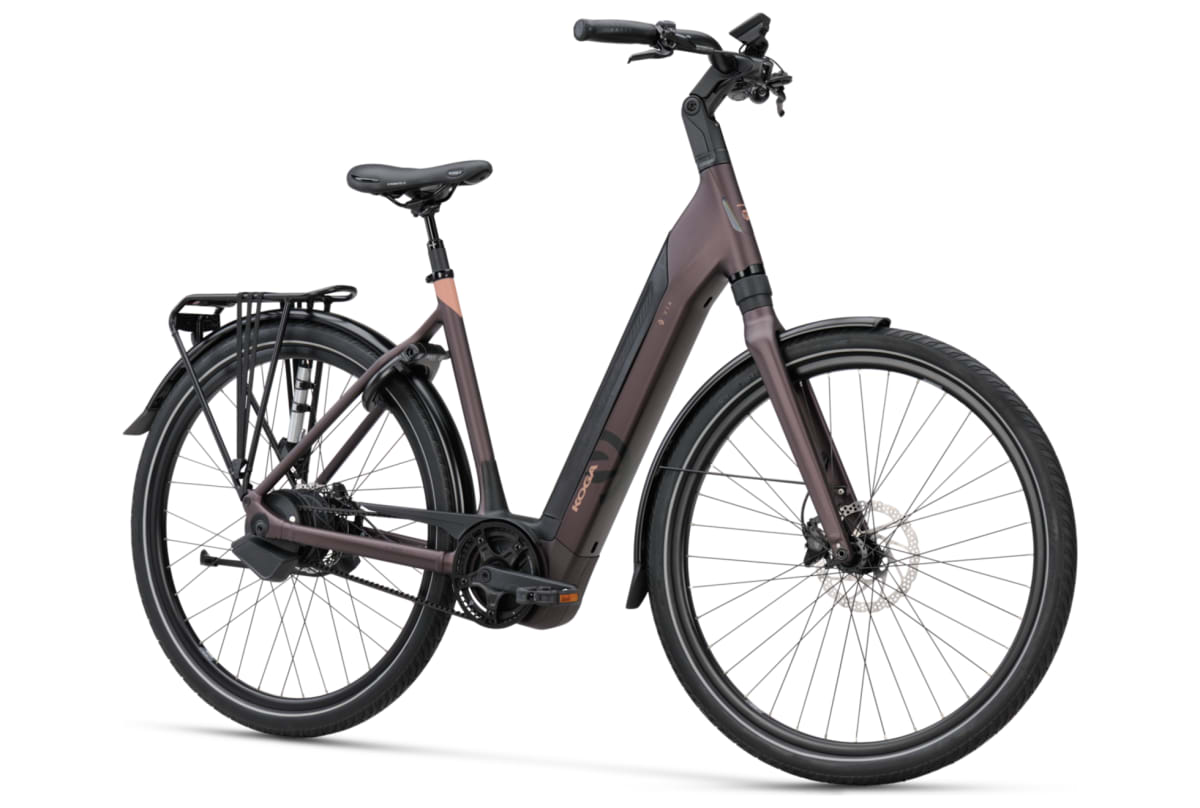 v1685538108/productvergelijker/ELFIETS/20230857A%2Bpaars%2Bzij%2Bschuin-1