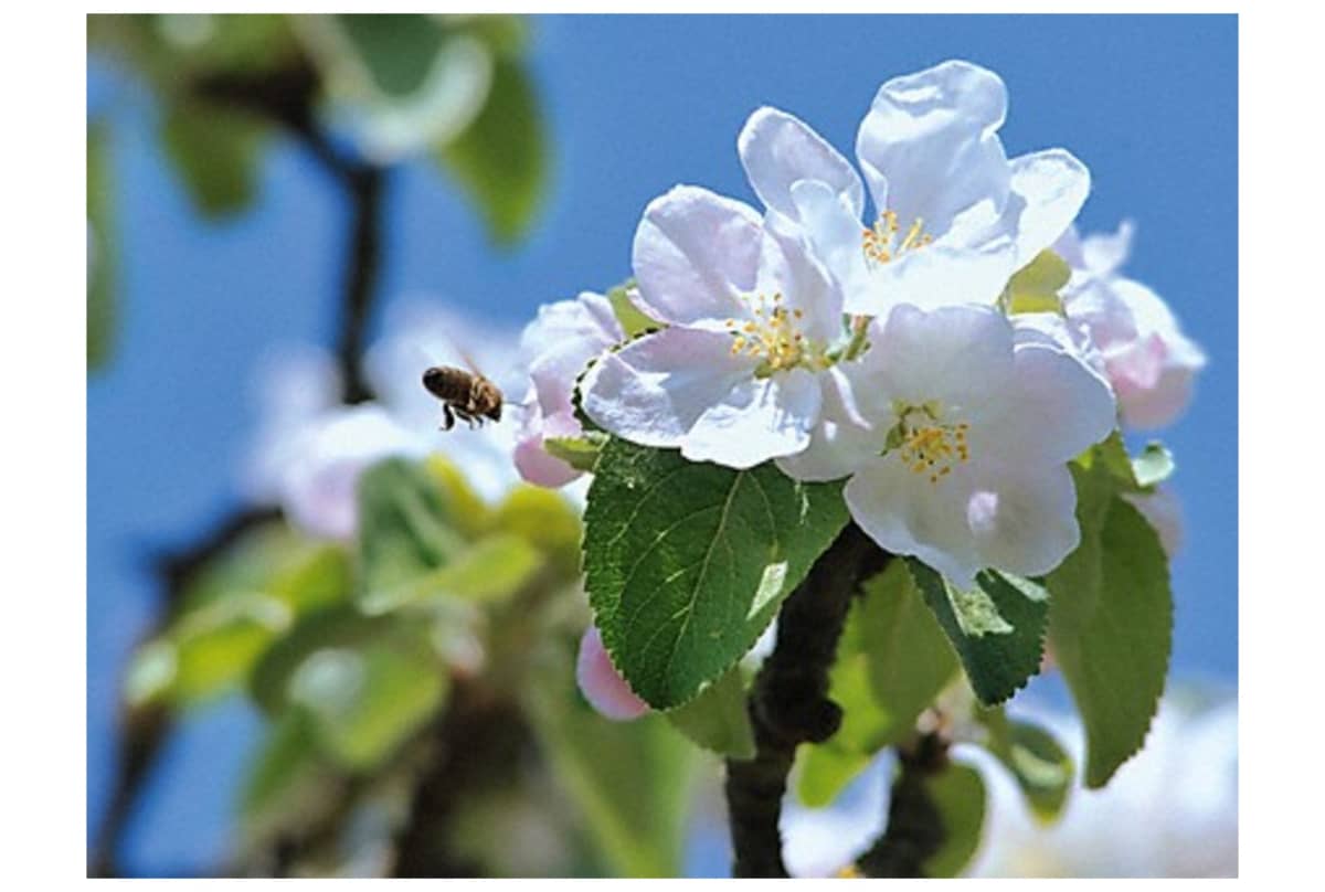 v1692630781/productvergelijker/VAATW/11484000_kk_6-12