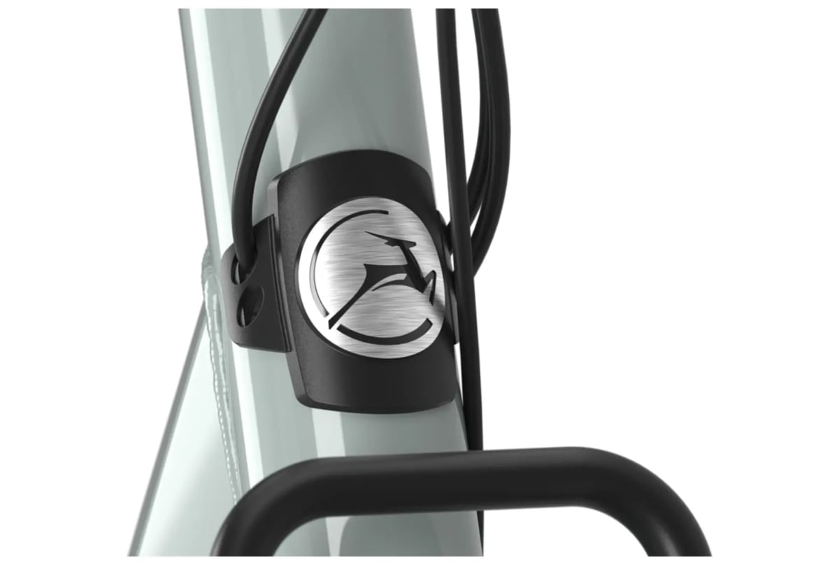 v1713865943/productvergelijker/ELFIETS/20231261A_065Gazelle%2BBloom%2BC7%2BHms%2B504Wh%2B-4