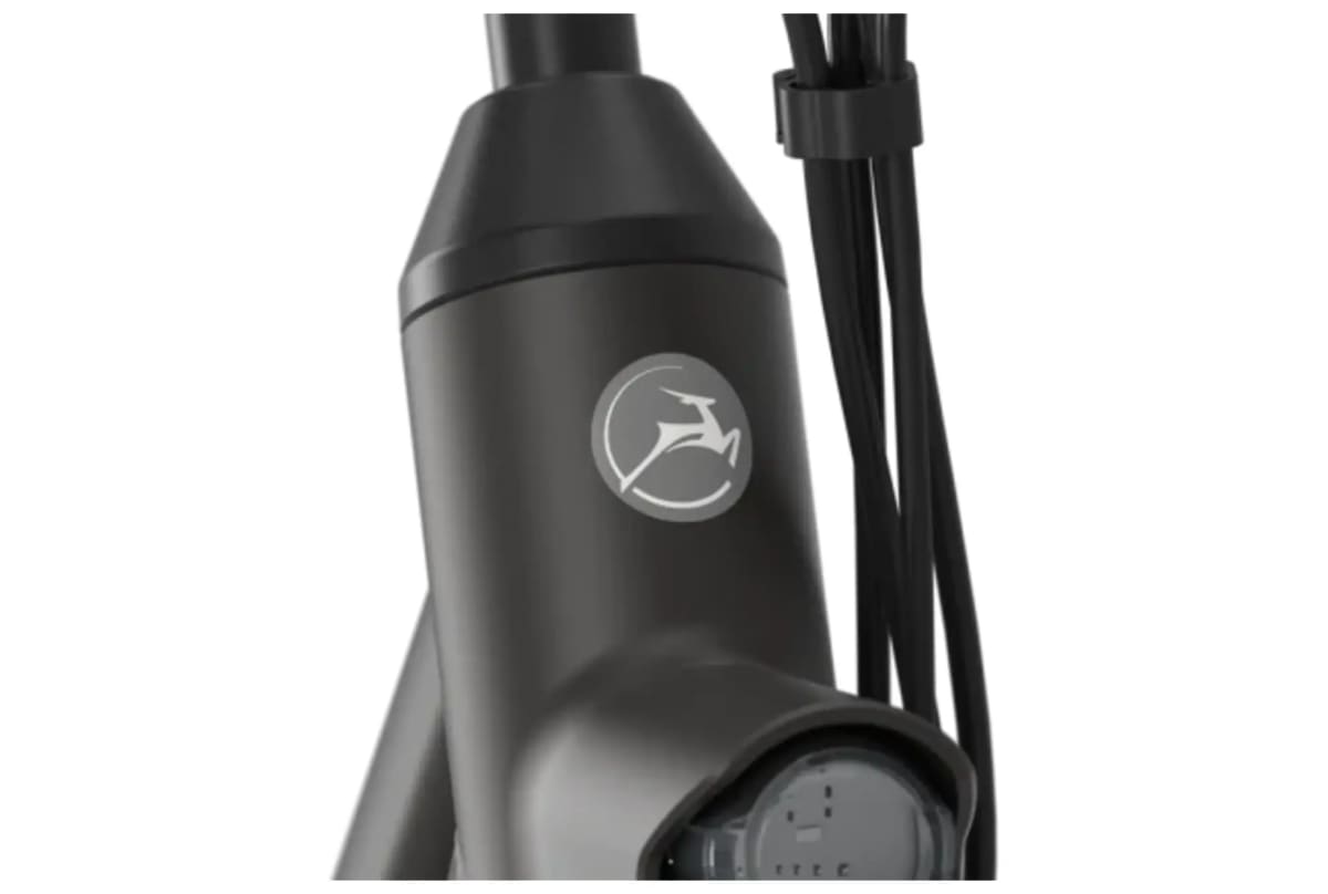 v1713866014/productvergelijker/ELFIETS/20231250B_027Gazelle%2BEsprit%2BC7%2BHMS%2B504Wh%2BHeren%2B-3