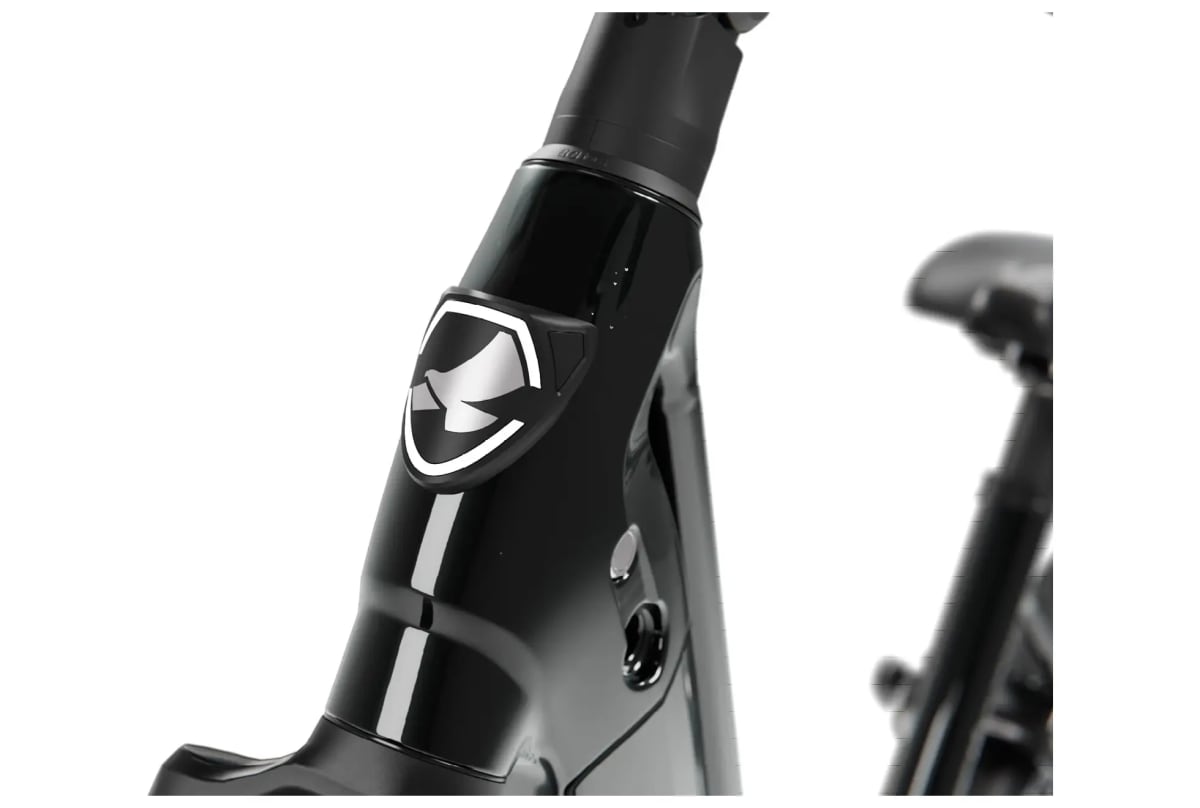 v1719240094/productvergelijker/ELFIETS/1c2f4b10c4d5de888dacccebb6b0-6