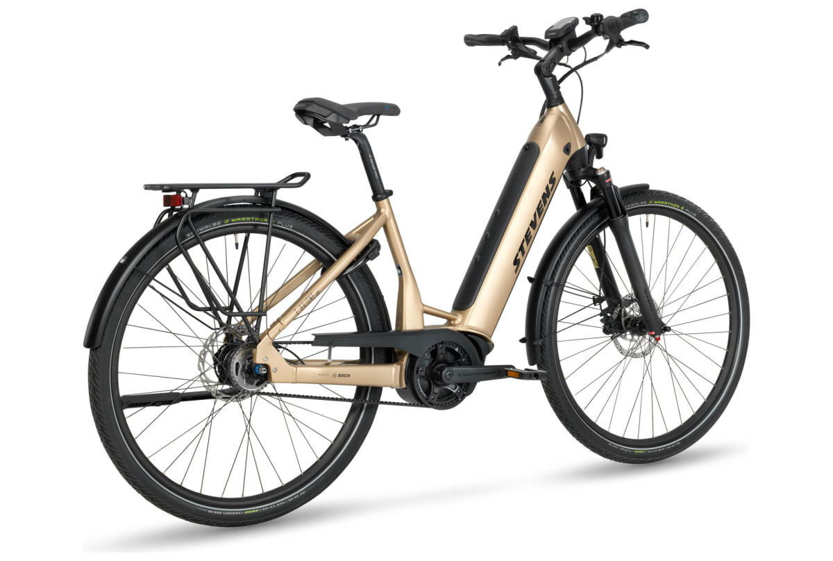 v1723805870/productvergelijker/ELFIETS/e-brione_luxe_forma_22_46_golden_sand_rear_my22-2