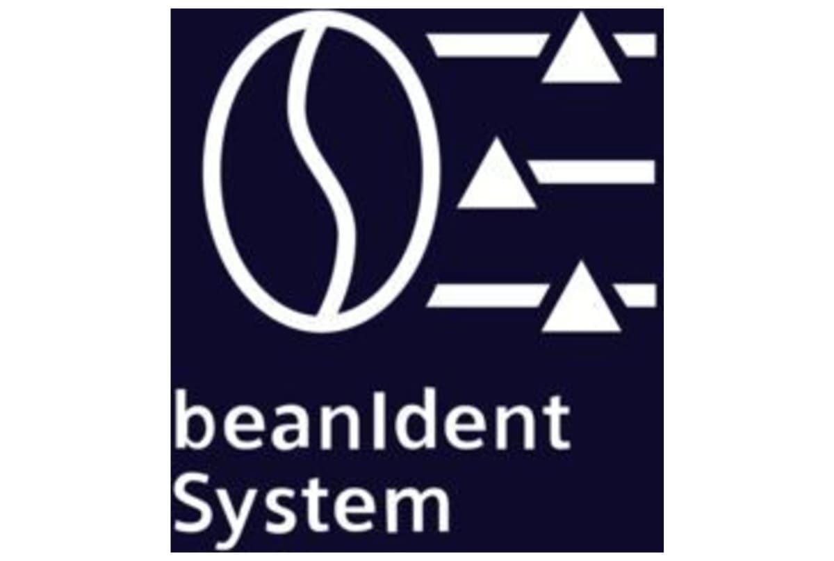 v1725613877/productvergelijker/ESPRAPP/50937564_kk_34-36