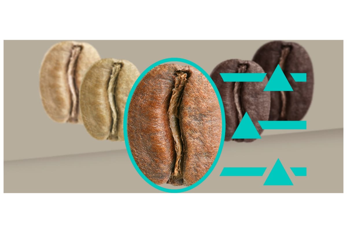 v1725613884/productvergelijker/ESPRAPP/50937564_kk_37-39