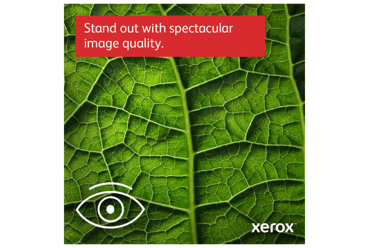 v1734352199/productvergelijker/AIO/50835928_kk_9-8