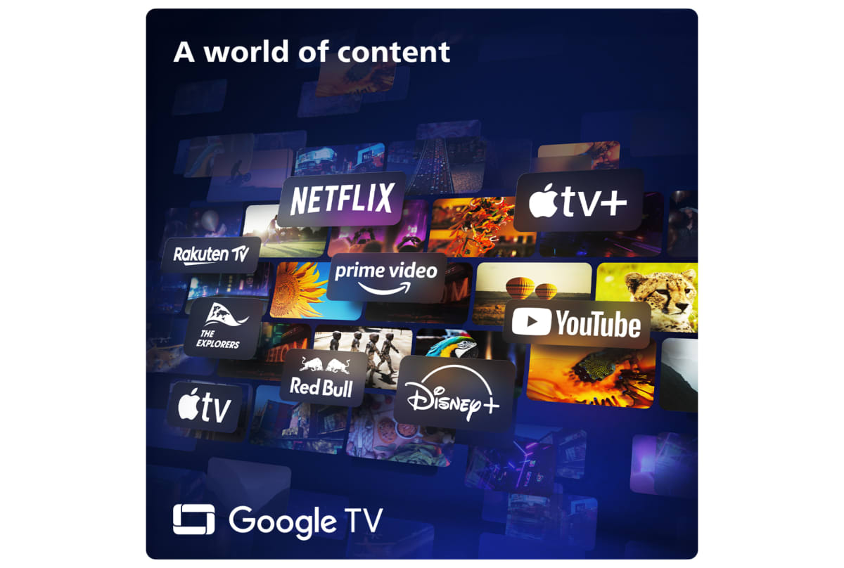 v1736333107/productvergelijker/KTV/50828803_kk_11-20