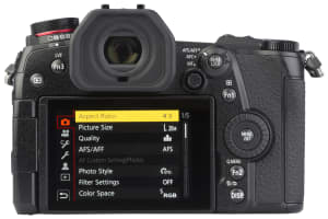 Panasonic - Lumix DC-G9 met 12-60mm f/3.5-5.6 - 2