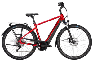 Pegasus - Premio EVO 10 Lite 2023 625Wh Heren - 1