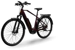 Advanced - Trekking Plus 725Wh Deore 10 725Wh Diamant - 2