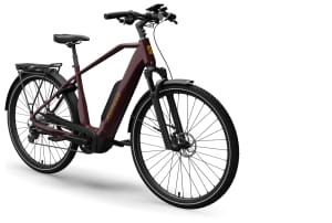 Advanced - Trekking Plus 725Wh Deore 10 725Wh Diamant - 1