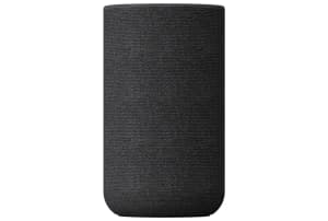 Sony - SA-RS5 zwart - 0