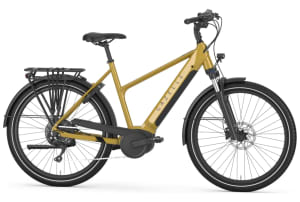Gazelle - Medeo T10 HMB 625Wh - 0