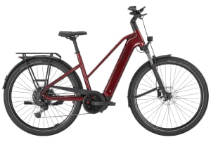 Pegasus - Premio Evo 10 Lite 600Wh Dames sportief - 1