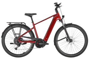 Pegasus - Premio Evo 10 Lite 600Wh Heren - 1