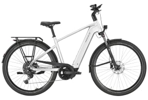 Pegasus - Premio Evo 10 Lite 600Wh Heren - 0