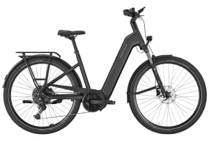 Pegasus - Premio Evo 10 Lite 600Wh - 2