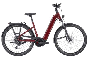 Pegasus - Premio Evo 10 Lite 600Wh - 1