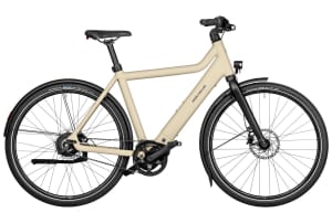 Riese & Müller - Culture Vario Purion 200 400Wh - 1