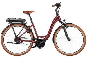 Riese & Müller - Swing4 Vario Kiox 300 500Wh - 2