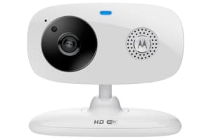 Motorola Focus 66