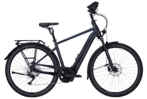 Pegasus Premio EVO 10 Lite Comfort 625Wh Heren