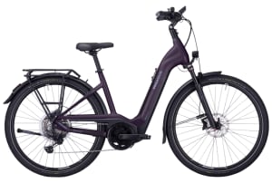 Pegasus Premio EVO 11 "40 Years" 750Wh
