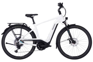 Pegasus Premio EVO 11 "40 Years" 750Wh Heren