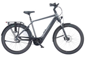 Pegasus Ravenna EVO 5F Belt NL 2023/2024 500Wh Heren