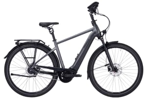 Pegasus Premio EVO 5 Lite Comfort 500Wh Heren