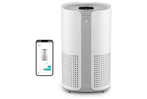 Duux Bright 2 Smart Wit (DXPU09)