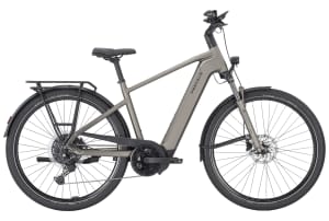 Pegasus Premio Evo 10 Lite 600Wh Heren