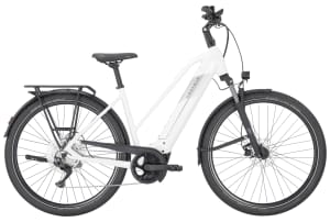 Pegasus Premio Evo 10 750Wh Trapeze