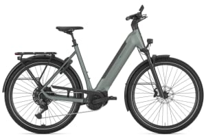 Gazelle Ultimate T11 800Wh