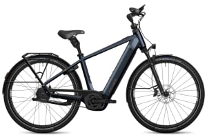 Flyer G2 Gotour 5.23 800Wh Heren