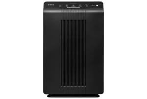 WINIX 5500-2