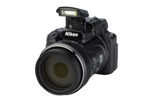 Nikon P1000