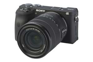 Sony Alpha 6600 met 18-135mm f/3.5-5.6 OSS