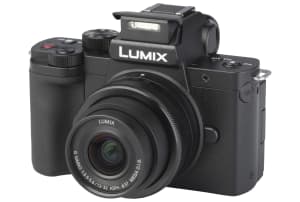 Panasonic Lumix DC-G100 met 12-32mm f/3.5-5.6