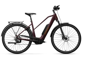 Advanced Trekking Plus 725Wh Nexus 5G Gates 725Wh Mixed