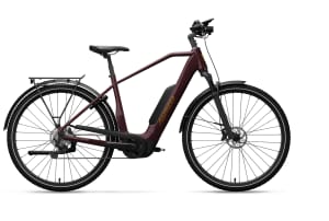 Advanced Trekking Plus 545Wh Alivio 9 545Wh Diamant