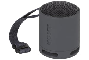 Sony SRS-XB100 zwart